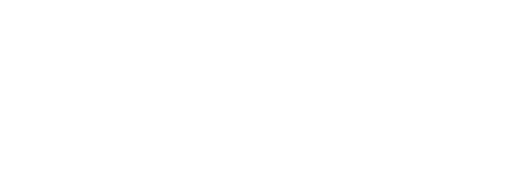 group_7_8_figure_vf_partnerlogo_tesla